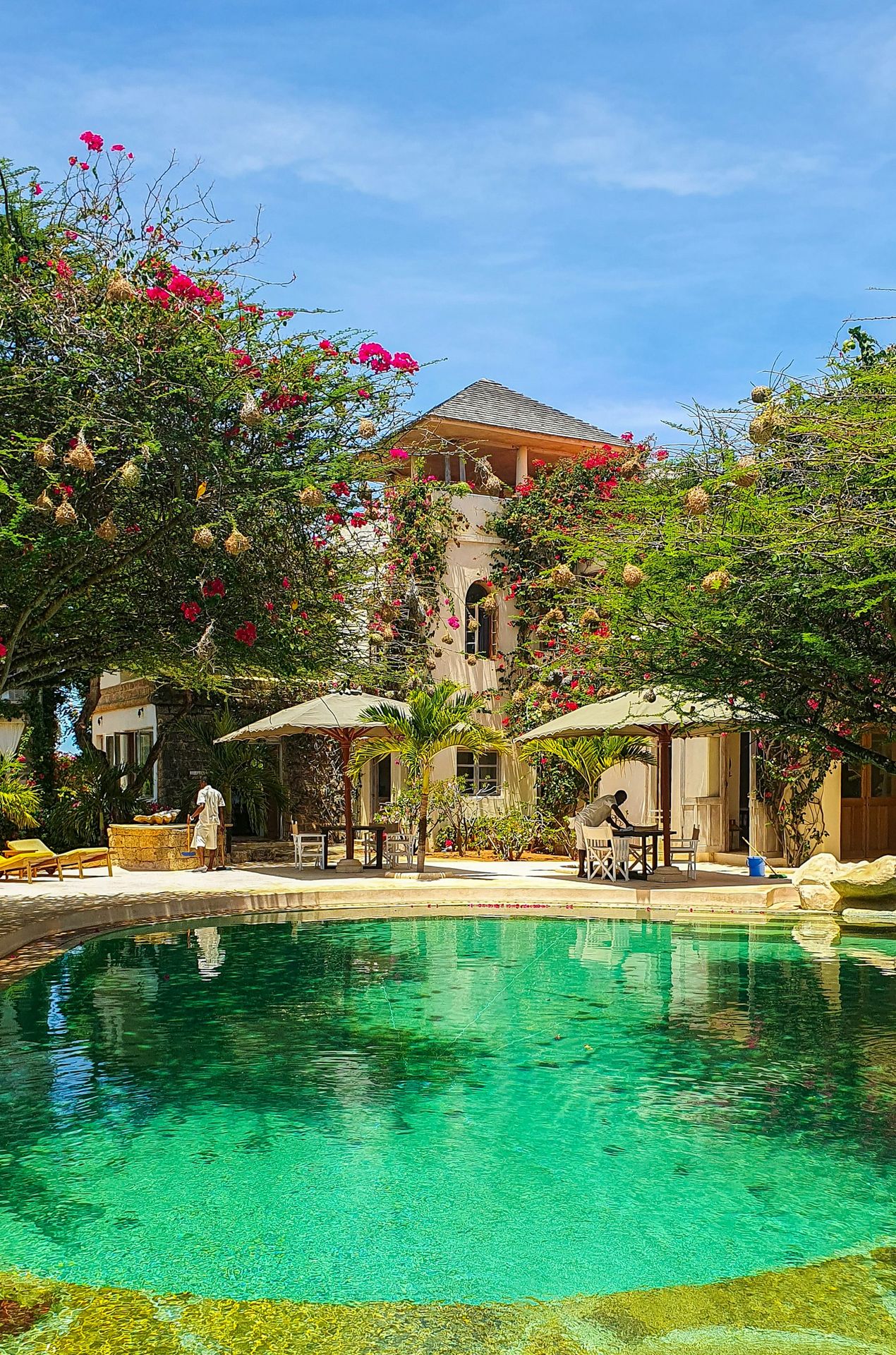 a pool surrounded by lush green trees next to a building